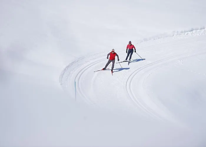 Catrina Lejlighedshotel Disentis