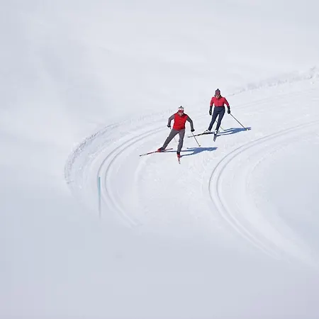 Catrina Aparthotel Disentis